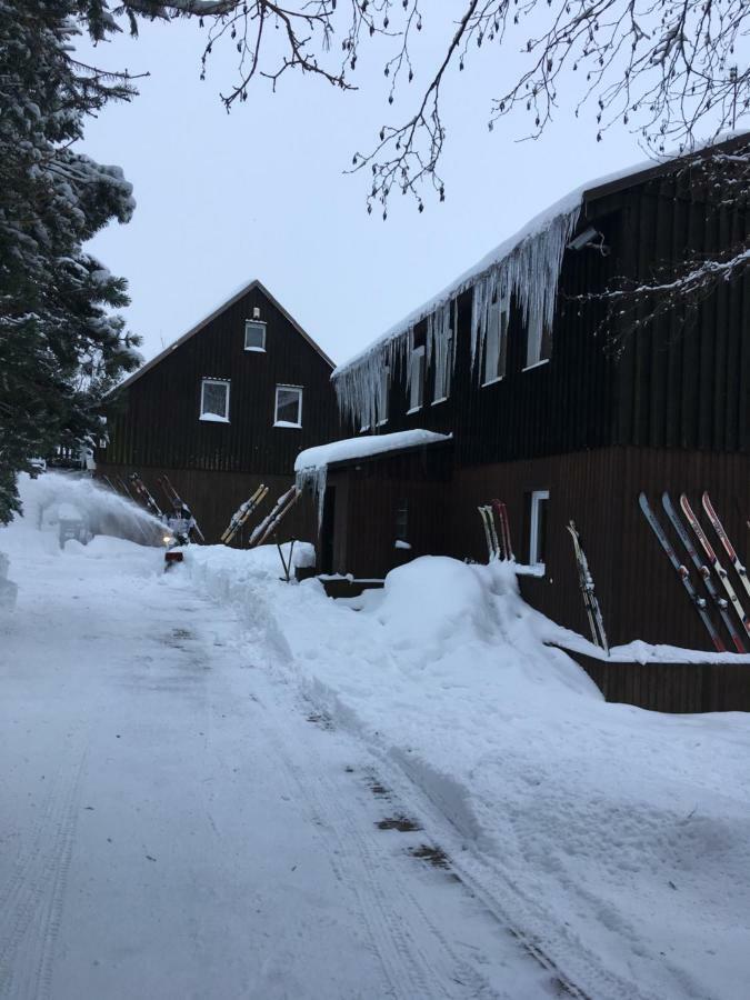 Villa Medvedi Boudy Loučná pod Klínovcem Esterno foto