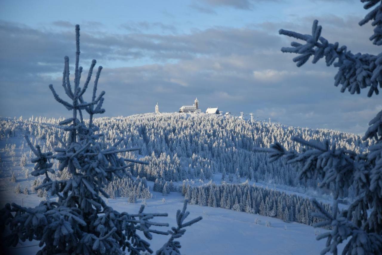 Villa Medvedi Boudy Loučná pod Klínovcem Esterno foto