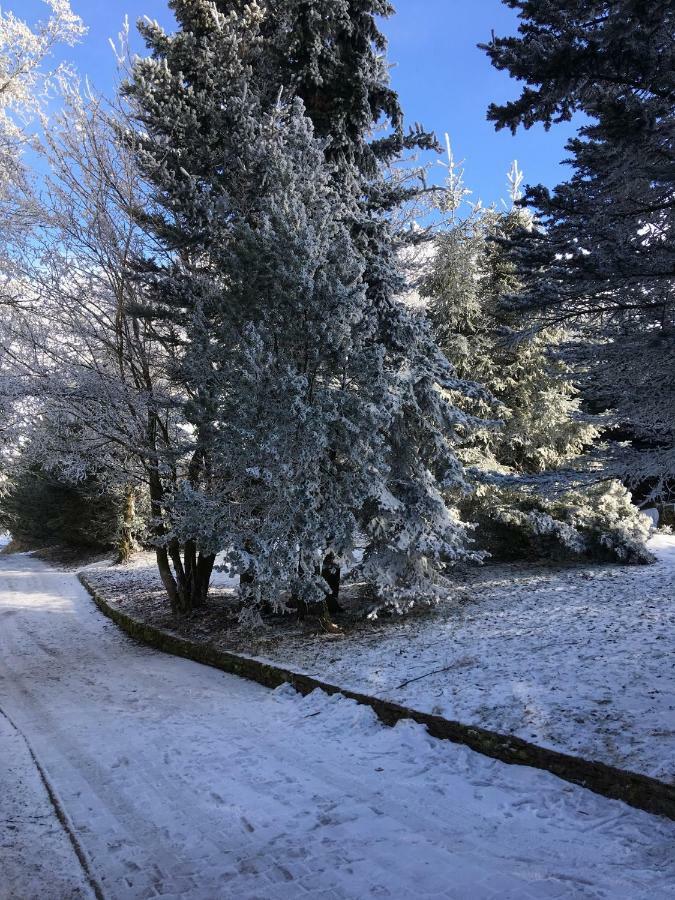 Villa Medvedi Boudy Loučná pod Klínovcem Esterno foto